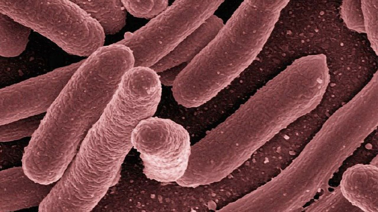 Improving Treatments for Tuberculosis