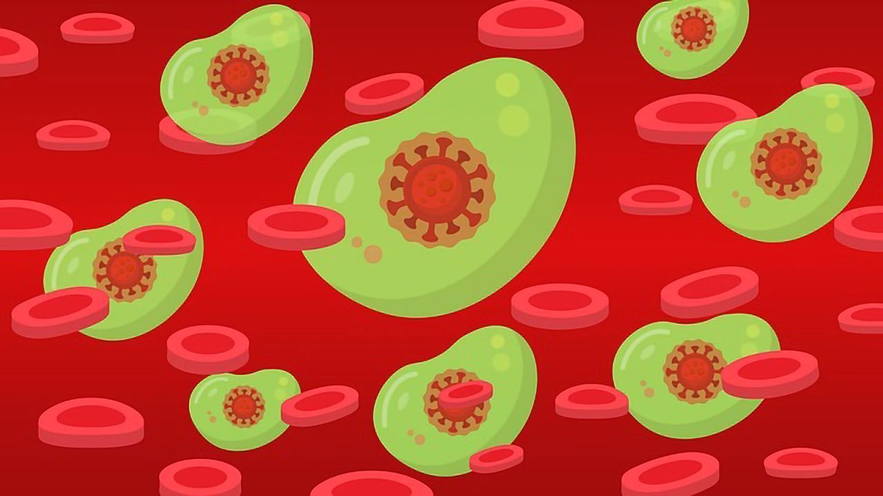 Chemical Probe Aids Understanding of Immune Response