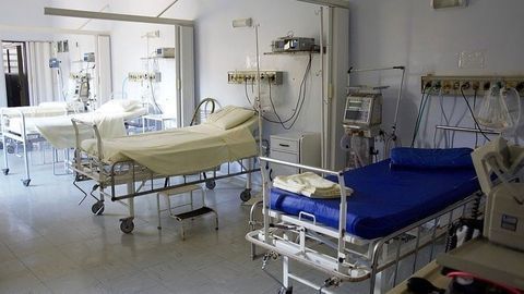 Kidney Transplant Patients Vulnerable to Infection by "Innocuous" Bacterium