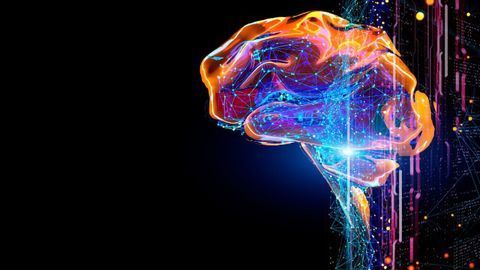 3D Modeling Analyzes How Neural Networks Process Information