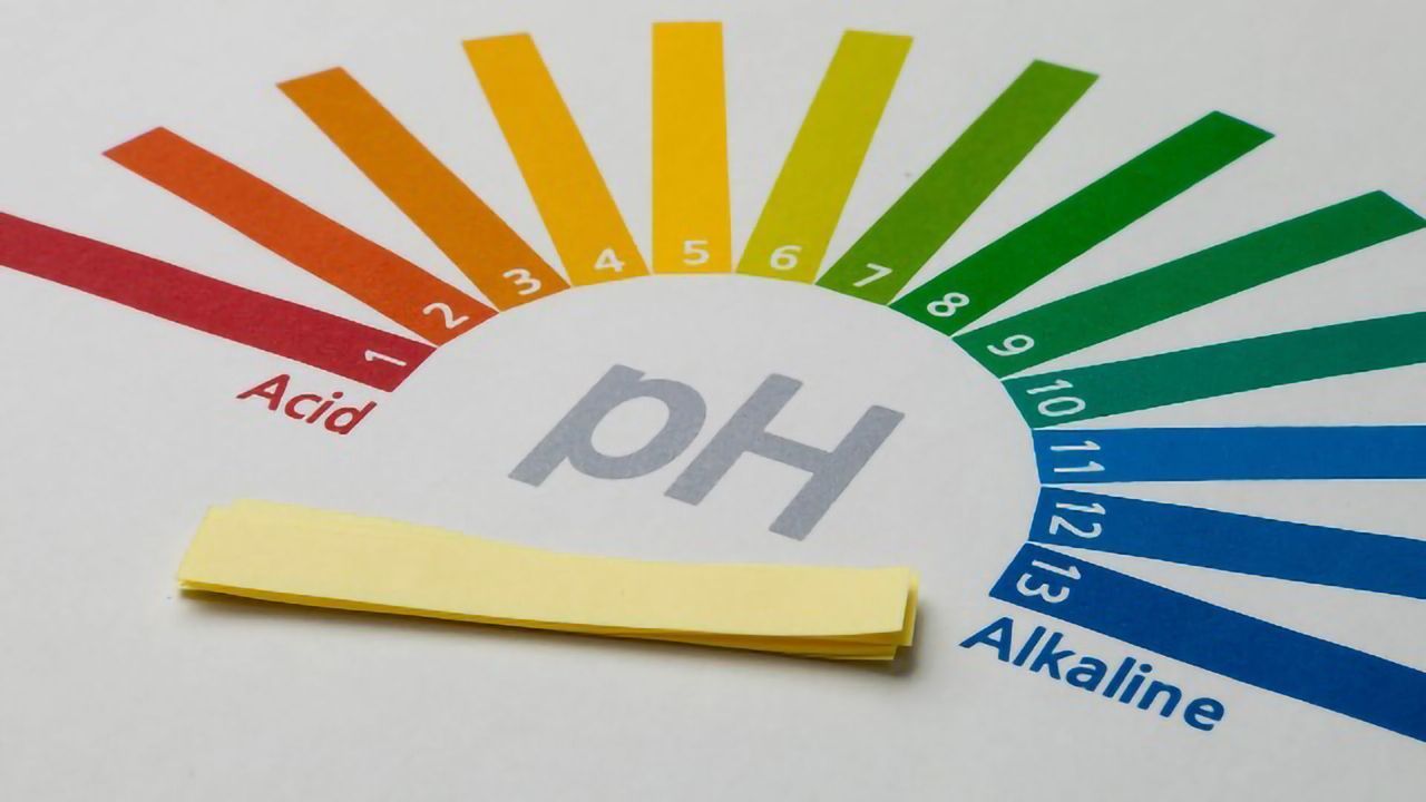 Psychiatric Disorders: What Role Might Brain pH Play?
