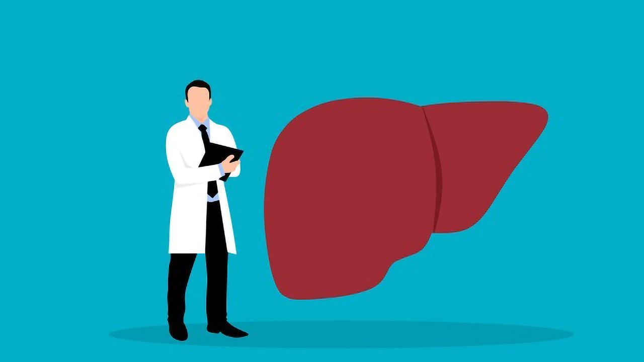 New Source of Liver Stem Cells Discovered