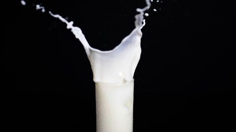 Why Does Warm Milk Make Us Sleepy?