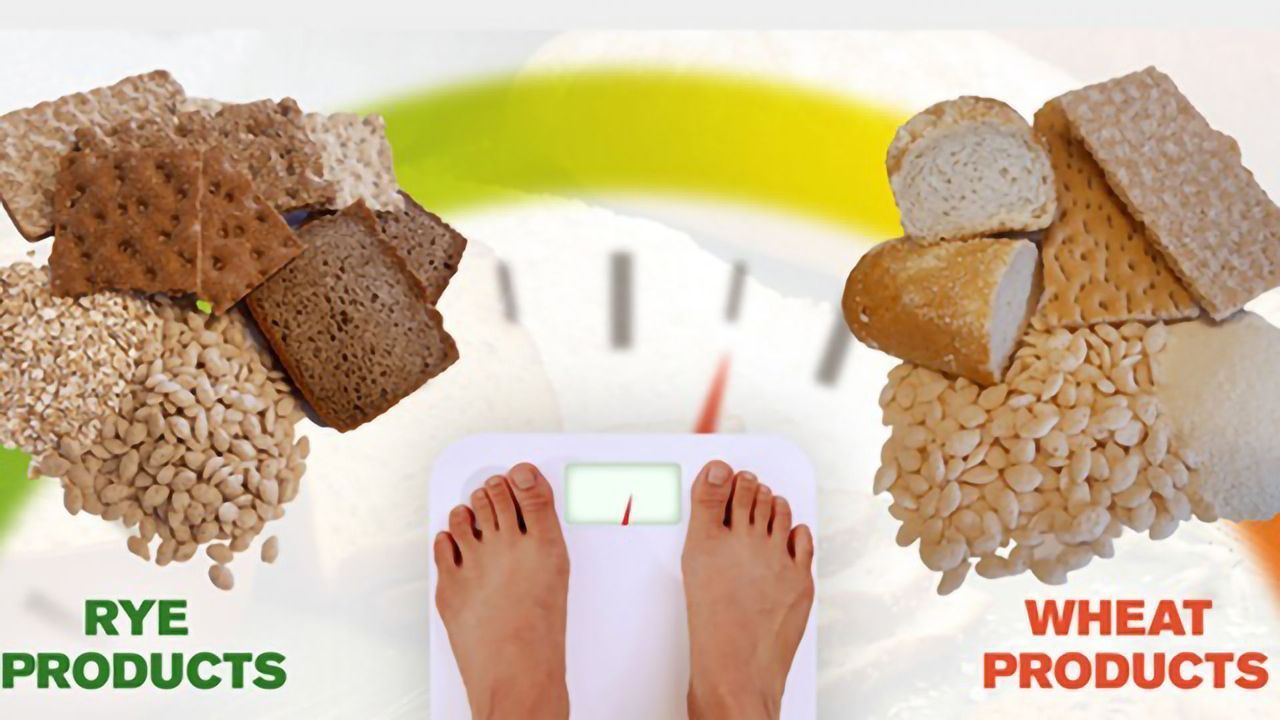 Swapping From Wheat to Rye Can Aid Weight Loss