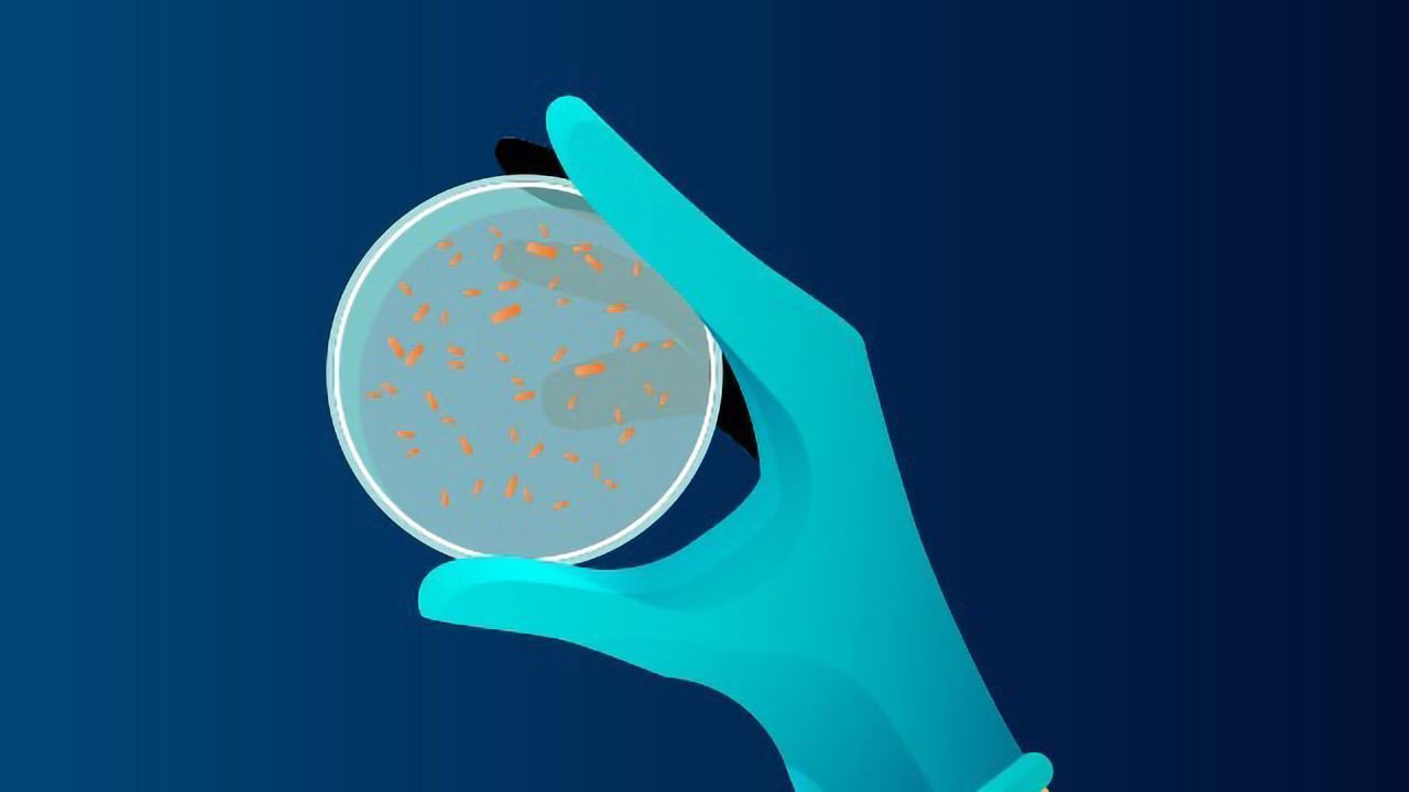 Detecting <i>Mycoplasma</i> Contamination in Your Cell Culture With Confidence