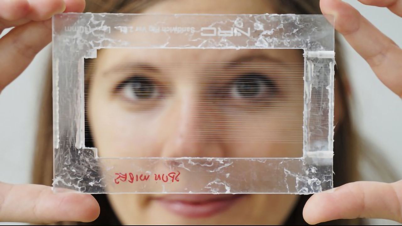 Ultra-Thin Electrodes Can Silence Pain in Rats