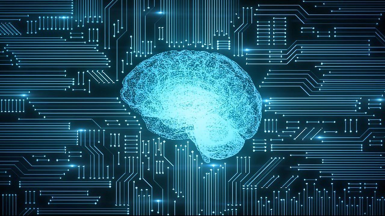 Does the Brain Learn Like a Computer Learns?