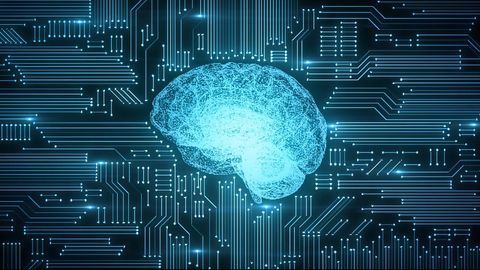 Does the Brain Learn Like a Computer Learns?