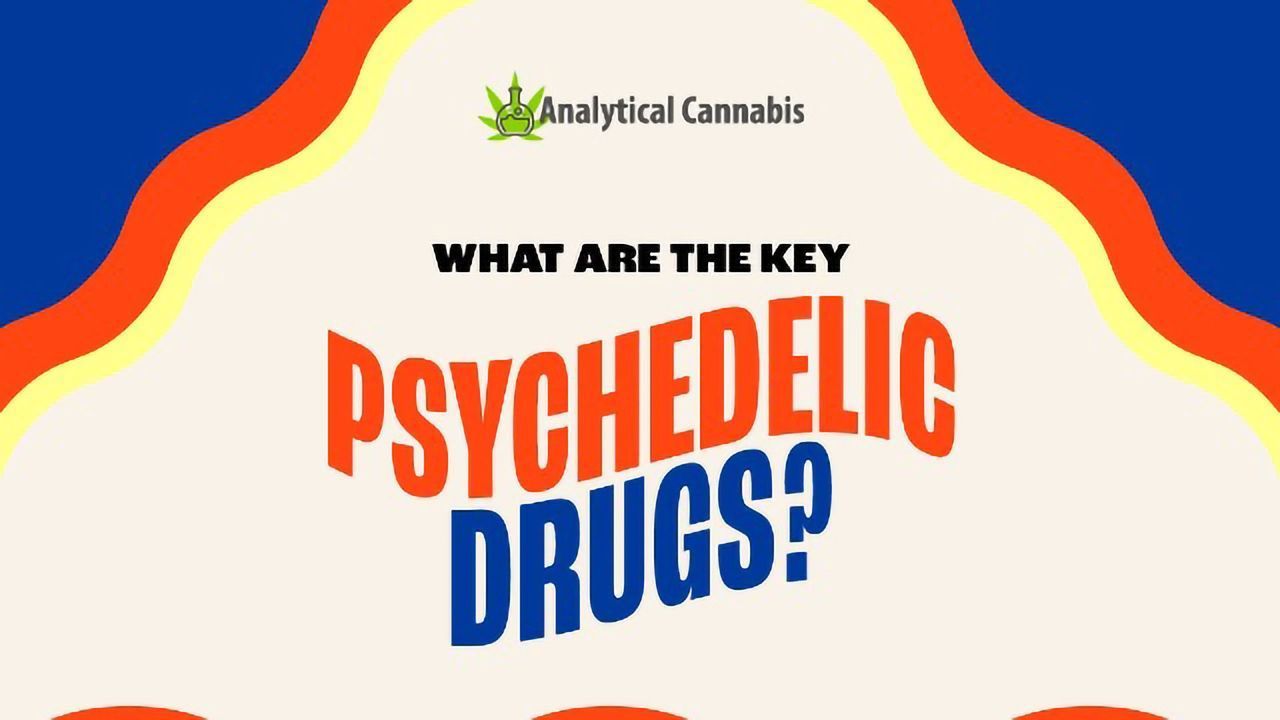 What Are the Key Psychedelic Drugs?