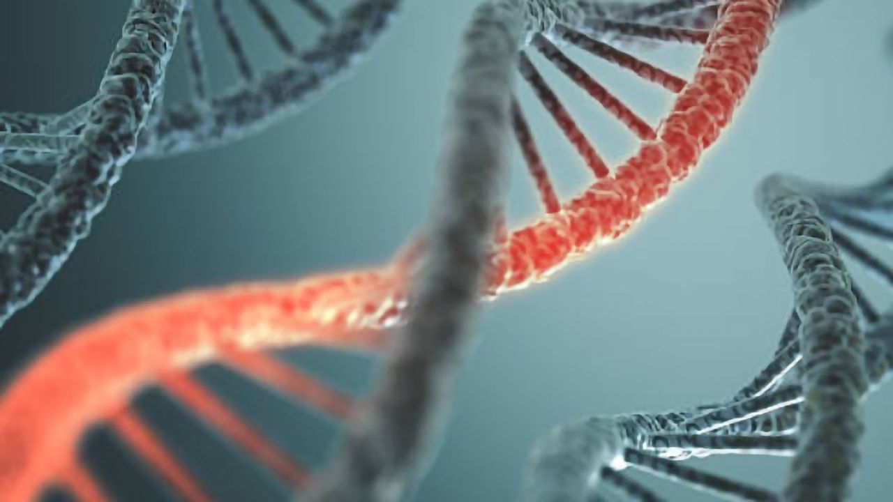 Accelerating mRNA-Based Therapy Development