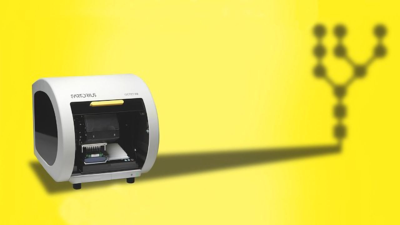 Monitoring Protein Titer and Glycosylation Simultaneously