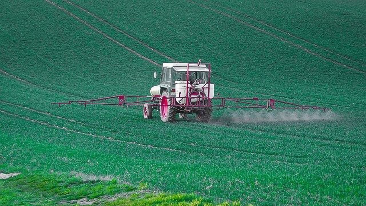 Common Pesticide Linked to Chronic Kidney Disease