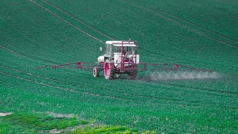 Common Pesticide Linked to Chronic Kidney Disease