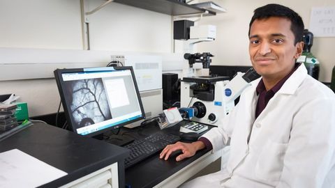 Assessing Early Biochemical Alterations in Tumors