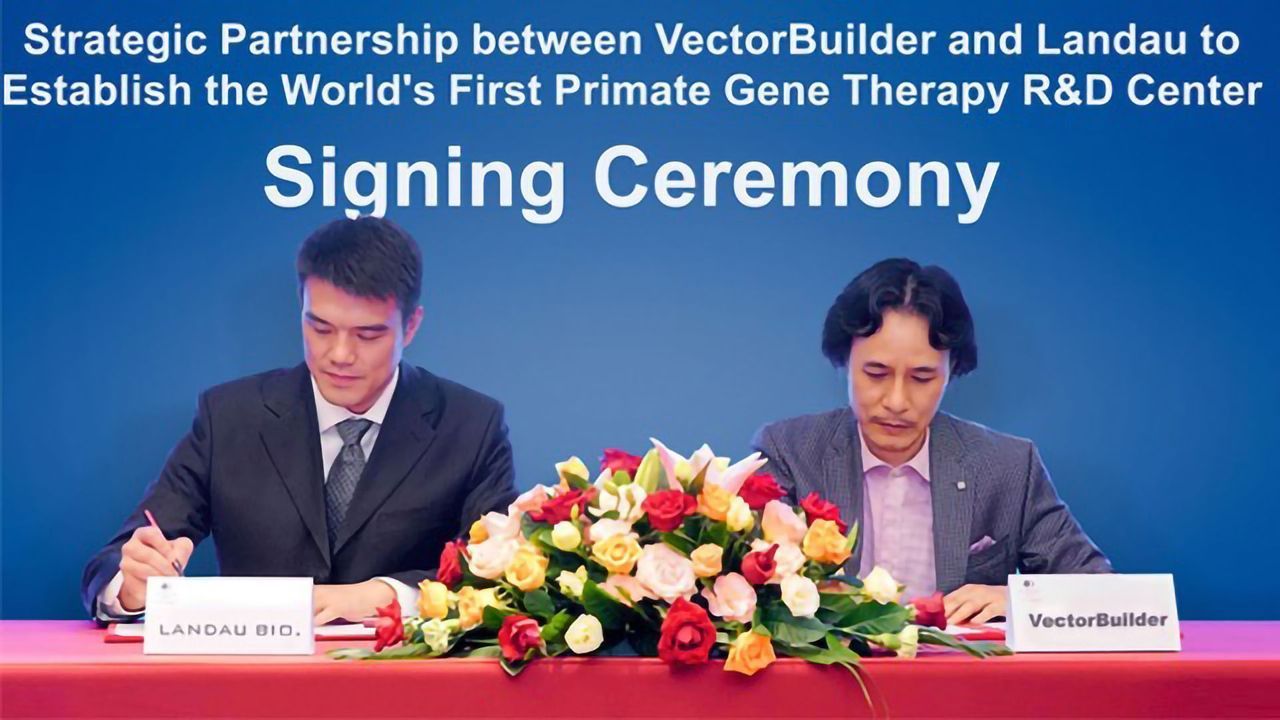 VectorBuilder and Landau To Establish World’s First Primate Gene Therapy R&D Center