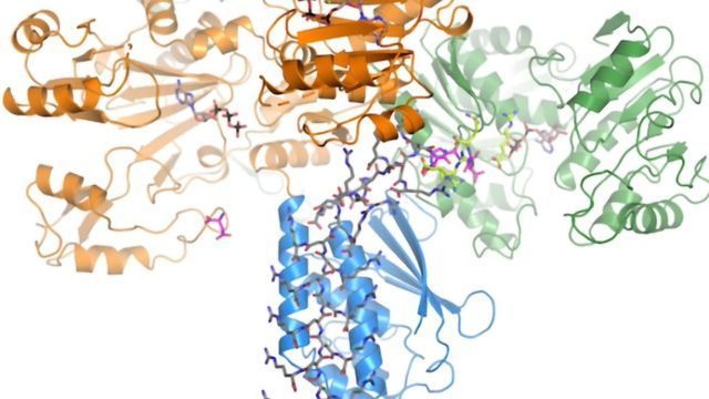 Bacterial Storage Strategies for Lean Times Could Help Biomaterial Production content piece image 