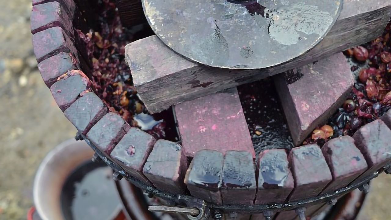 Nutritional Bounty Offered by Winemaker's Rubbish