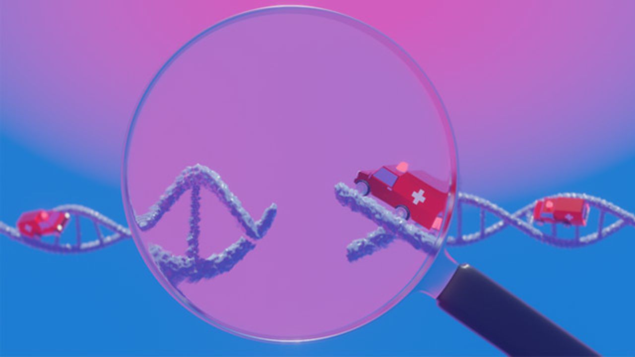 Repair-Seq Reveals How Genome Editing Tools Work