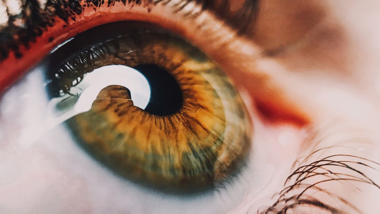Eye Study Shows Common Metaphors Help Our Brains Pay Attention