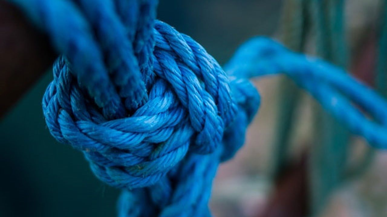 DNA Tangles Influence Evolution
