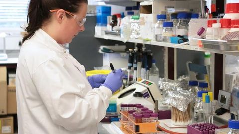 Tests Developed in the Fight Against Environmental Spread of Antimicrobial Resistance