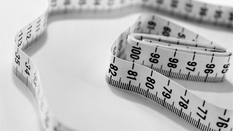 Fat Cells Found To Play a Role in Cognitive Decline
