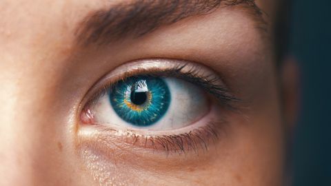 Brain Implant Helps Blind Woman See Simple Shapes