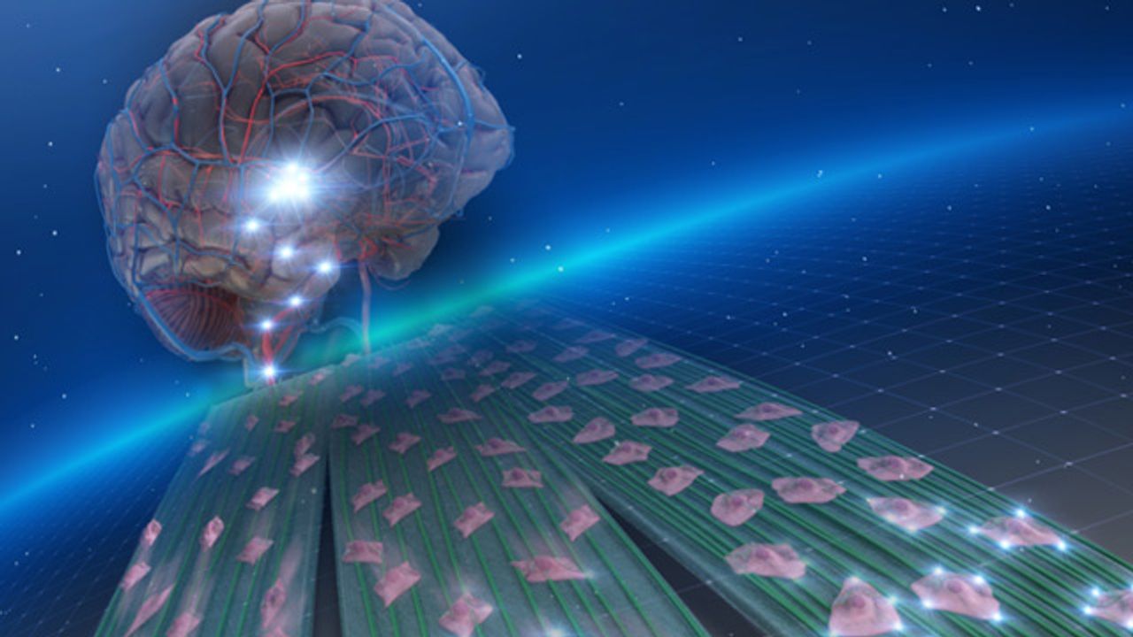 Nanofibers Designed To Stop Brain Tumor Cells From Spreading