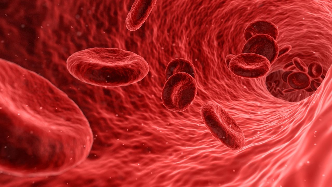 New Test Measures Multiple Areas of Platelet Response