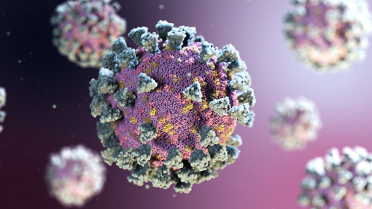 The Role of Neuropilin-1 in SARS-CoV-2 Infection