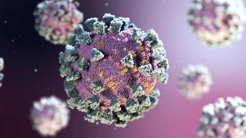 The Role of Neuropilin-1 in SARS-CoV-2 Infection