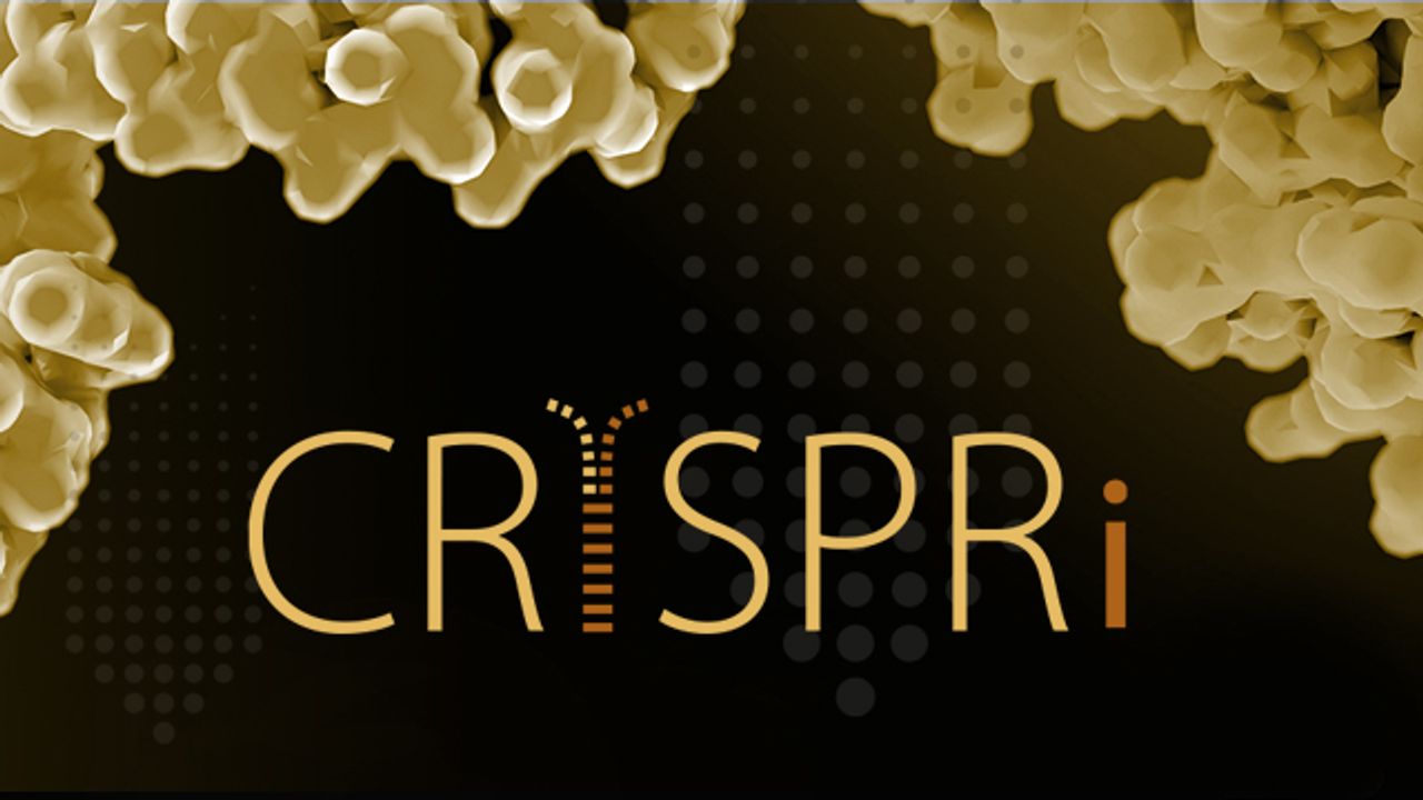CRISPR Interference