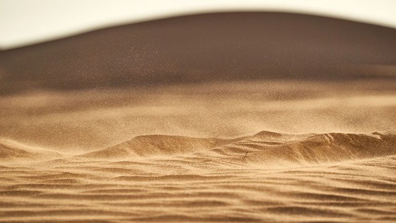 Sahara's Fossil Rivers Show Threat of a Warming World