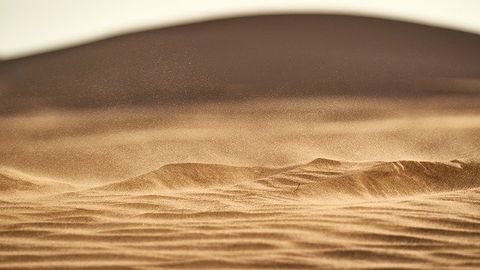 Sahara's Fossil Rivers Show Threat of a Warming World