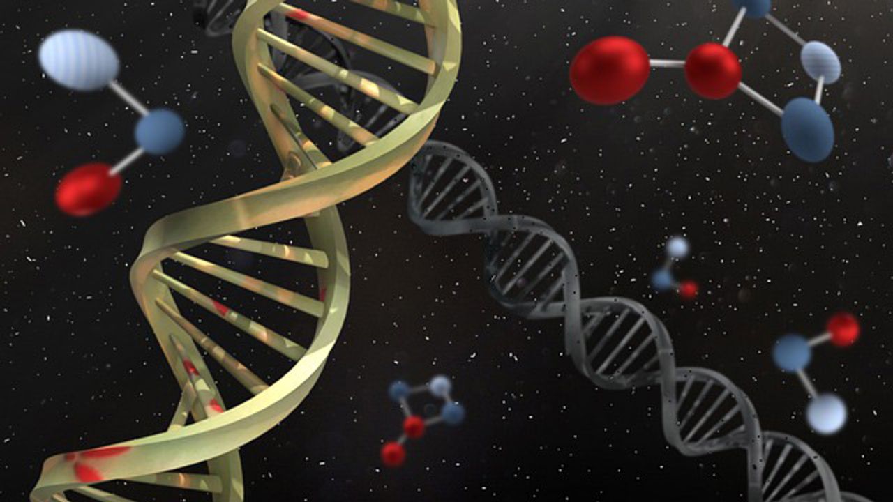 Genetic Biomarker Could Predict COVID-19 Severity