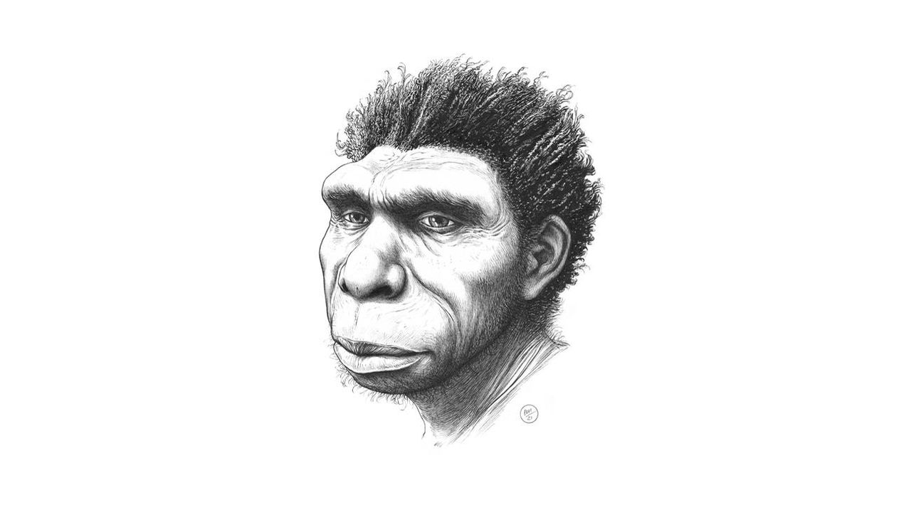 A New Human Ancestor Has Been Named
