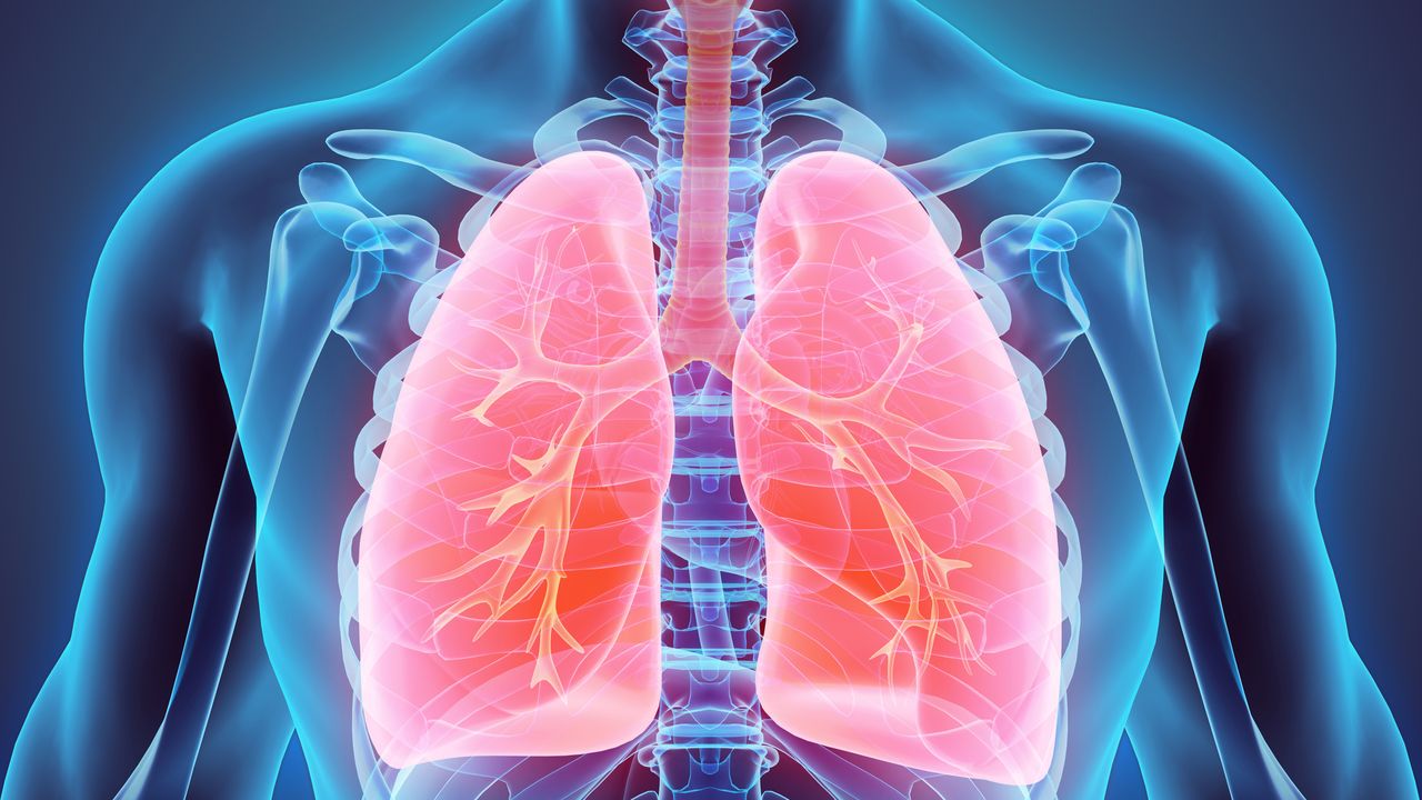 Therapy for Mesothelioma and Metastatic Cancer Enters Phase 1 Trial