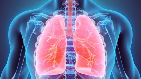 Therapy for Mesothelioma and Metastatic Cancer Enters Phase 1 Trial