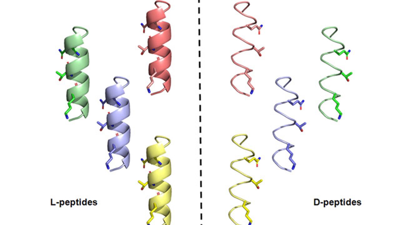Mirror-Image Peptides Can Neutralize SARS-CoV-2