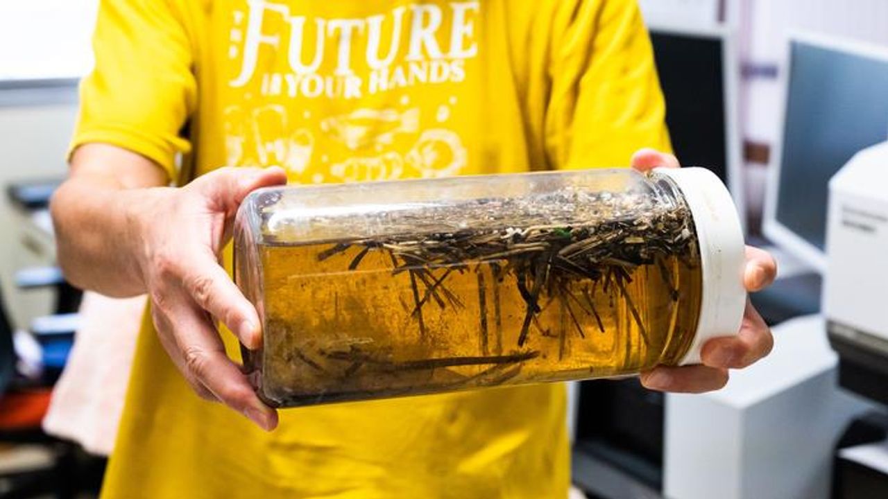 Twenty-Four Trillion Ocean Microplastics and Counting
