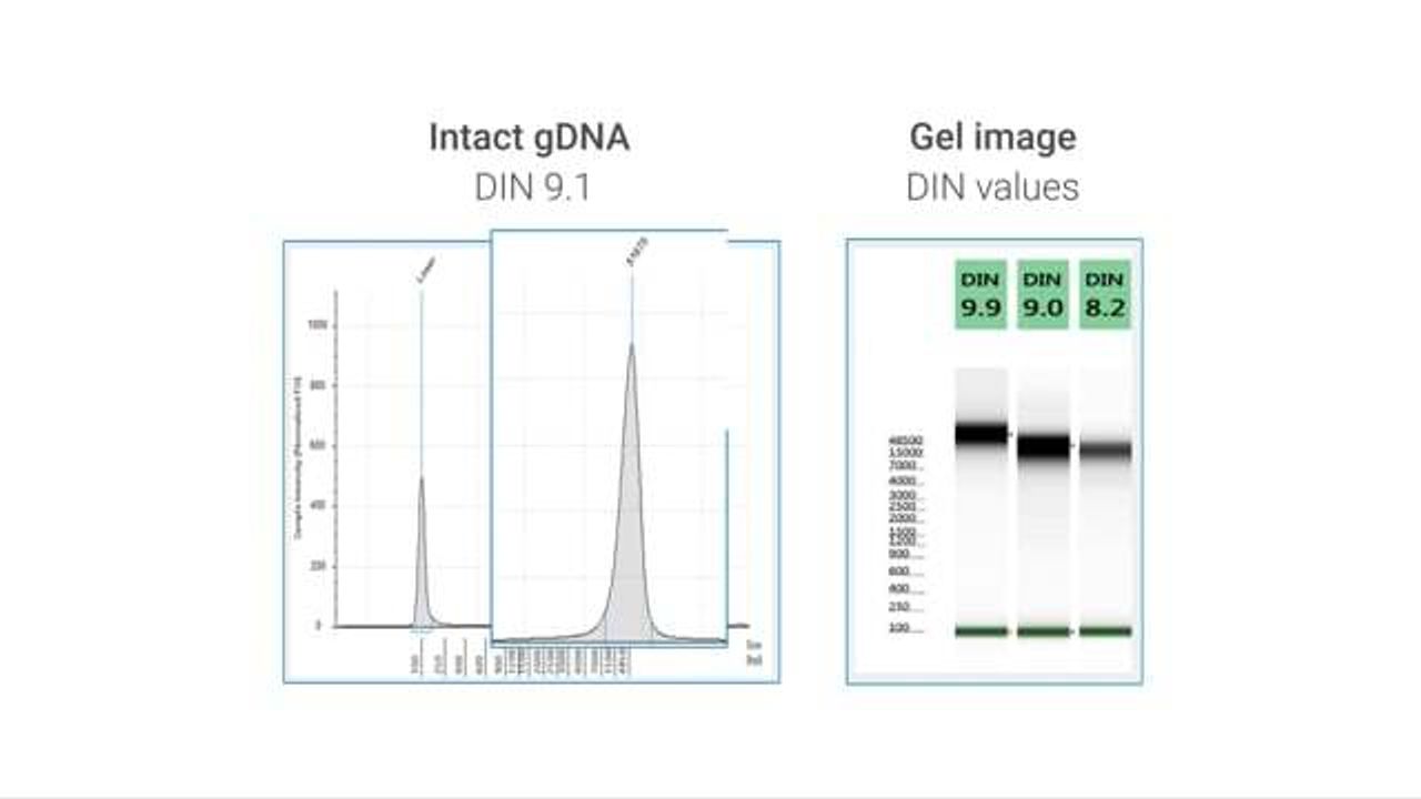 What Agilent Sample Quality Metrics are Available?