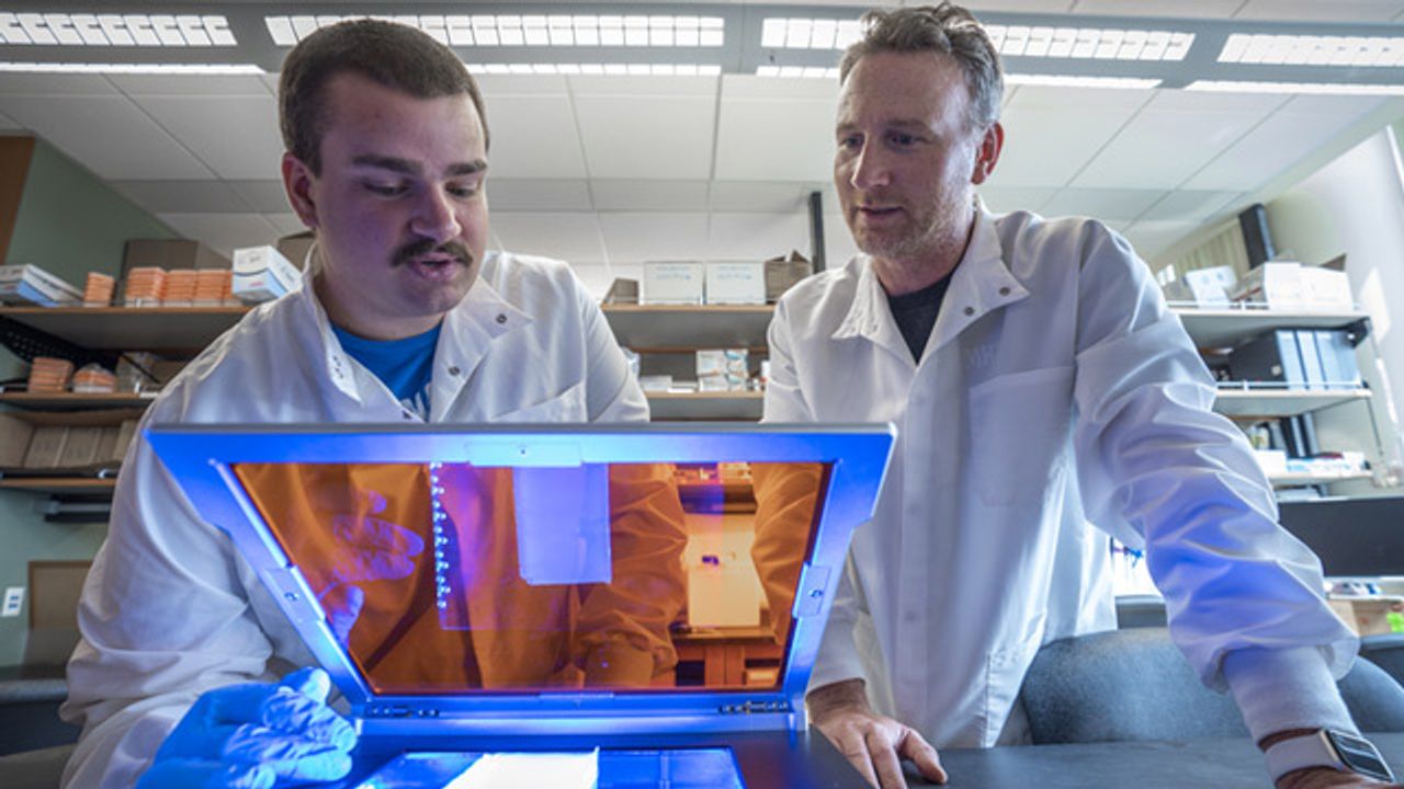 New Drug-Like Molecule Counteracts Epigenetic Drivers of Cancer
