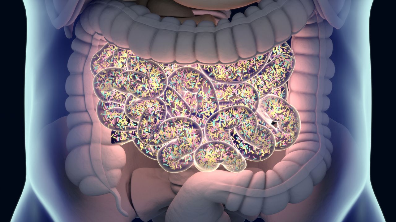 Five Challenges Limiting Widespread Adoption of Microbiome-Based Diagnostics