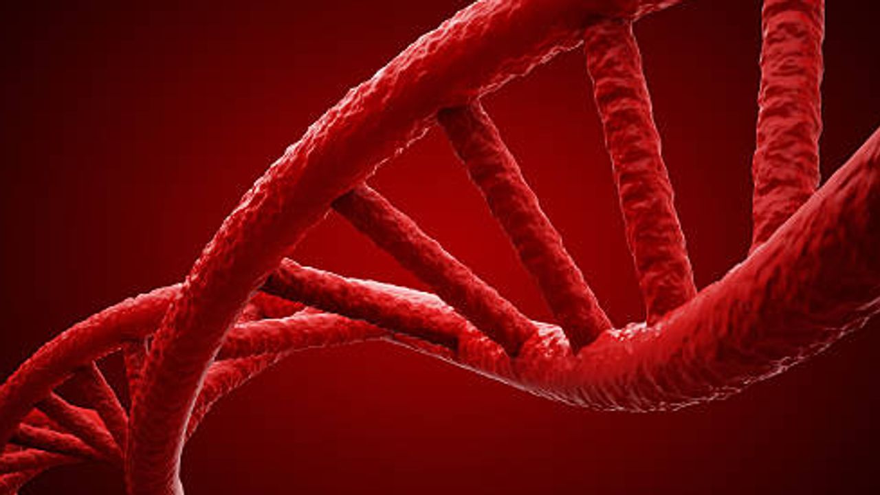 Molecular Biology Solutions Fit for Discovery