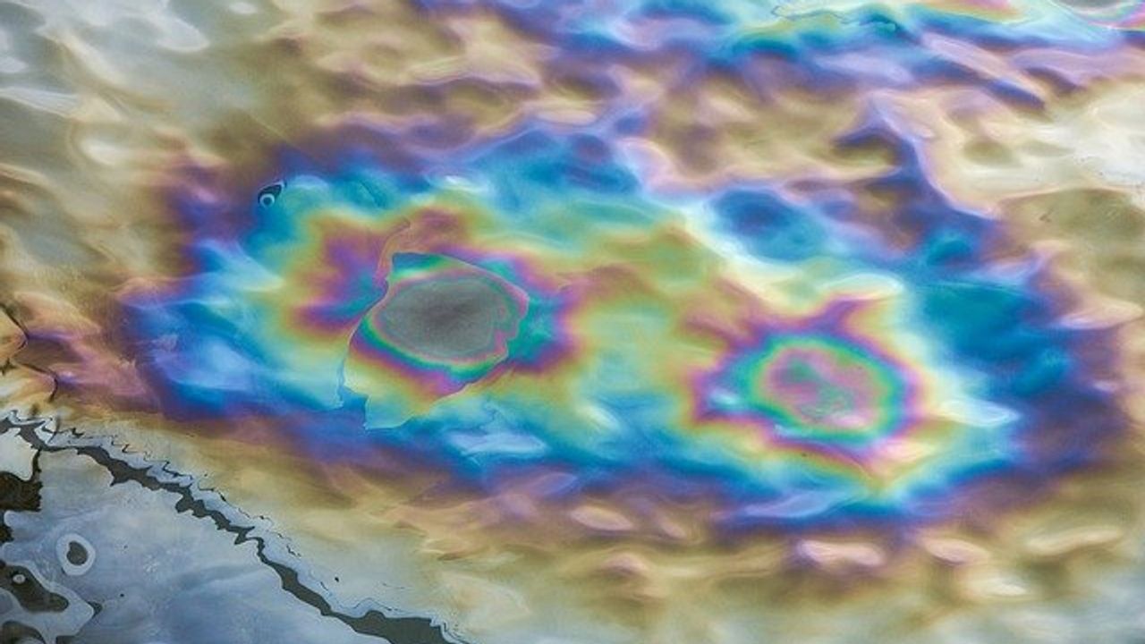 Are Bacteria the Future of Oil Spill and Radioactive Waste Cleanup?
