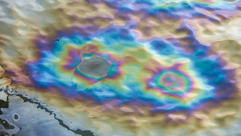 Are Bacteria the Future of Oil Spill and Radioactive Waste Cleanup? content piece image