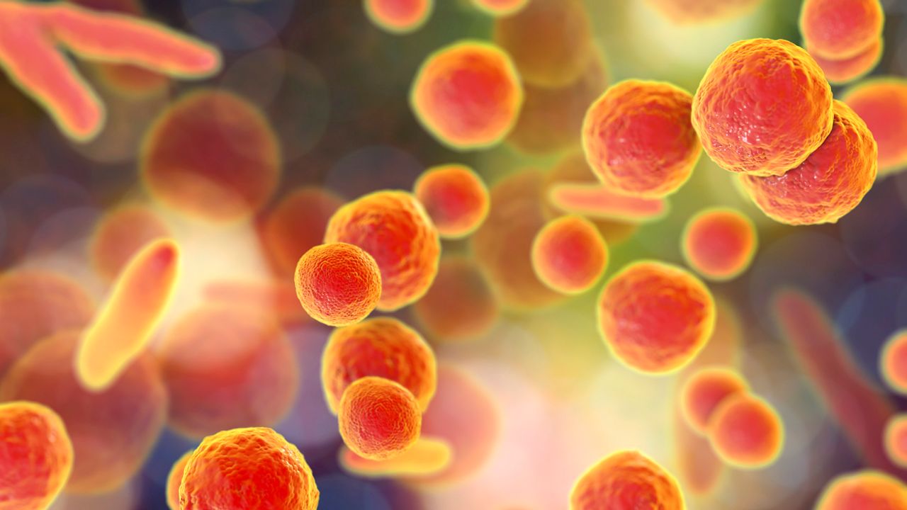 Droplet Digital PCR Can Detect Mycoplasma During Gene Therapy Production