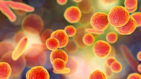 Droplet Digital PCR Can Detect Mycoplasma During Gene Therapy Production Droplet Digital PCR Can Detect Mycoplasma During Gene Therapy Production