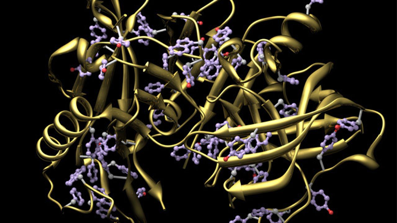 Advances in Proteomics