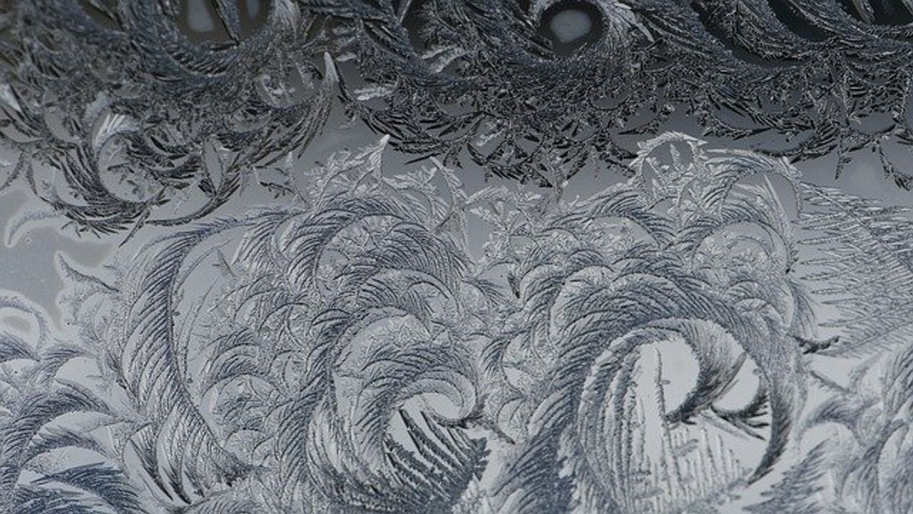 Virus Particles Provide Ready-Made Building Materials